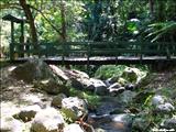 Área de Acampar y Recreación de Guavate - CAYEY